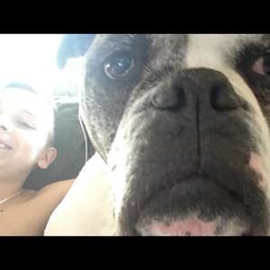 Meet your Posher, George